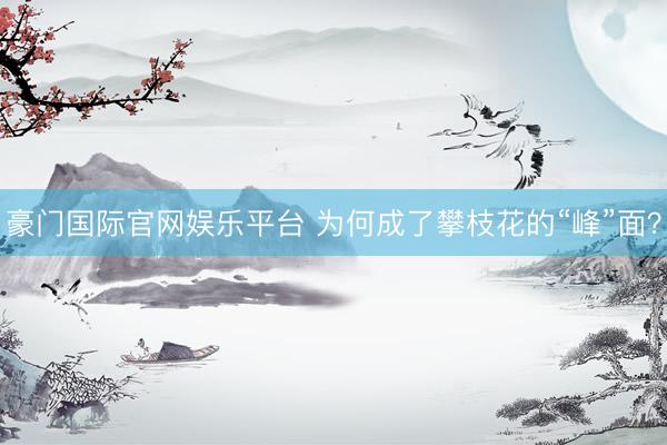 豪门国际官网娱乐平台 为何成了攀枝花的“峰”面？