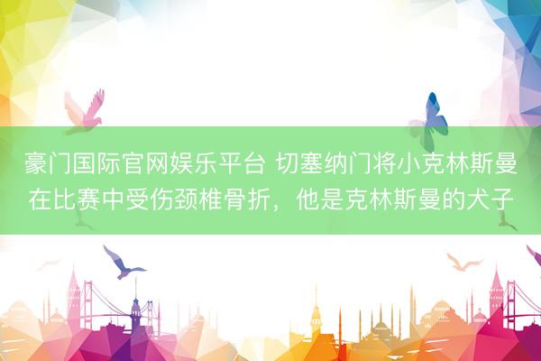 豪门国际官网娱乐平台 切塞纳门将小克林斯曼在比赛中受伤颈椎骨折，他是克林斯曼的犬子