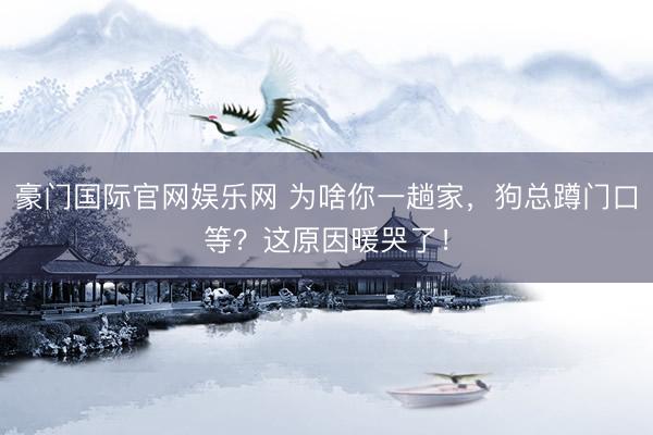 豪门国际官网娱乐网 为啥你一趟家，狗总蹲门口等？这原因暖哭了！