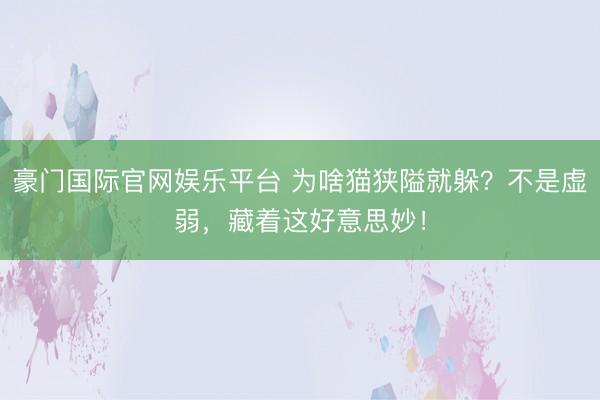豪门国际官网娱乐平台 为啥猫狭隘就躲？不是虚弱，藏着这好意思妙！