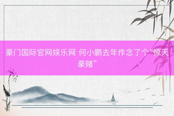 豪门国际官网娱乐网 何小鹏去年作念了个“惊天豪赌”