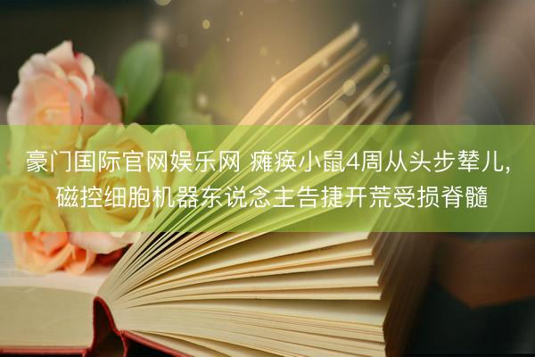 豪门国际官网娱乐网 瘫痪小鼠4周从头步辇儿, 磁控细胞机器东说念主告捷开荒受损脊髓